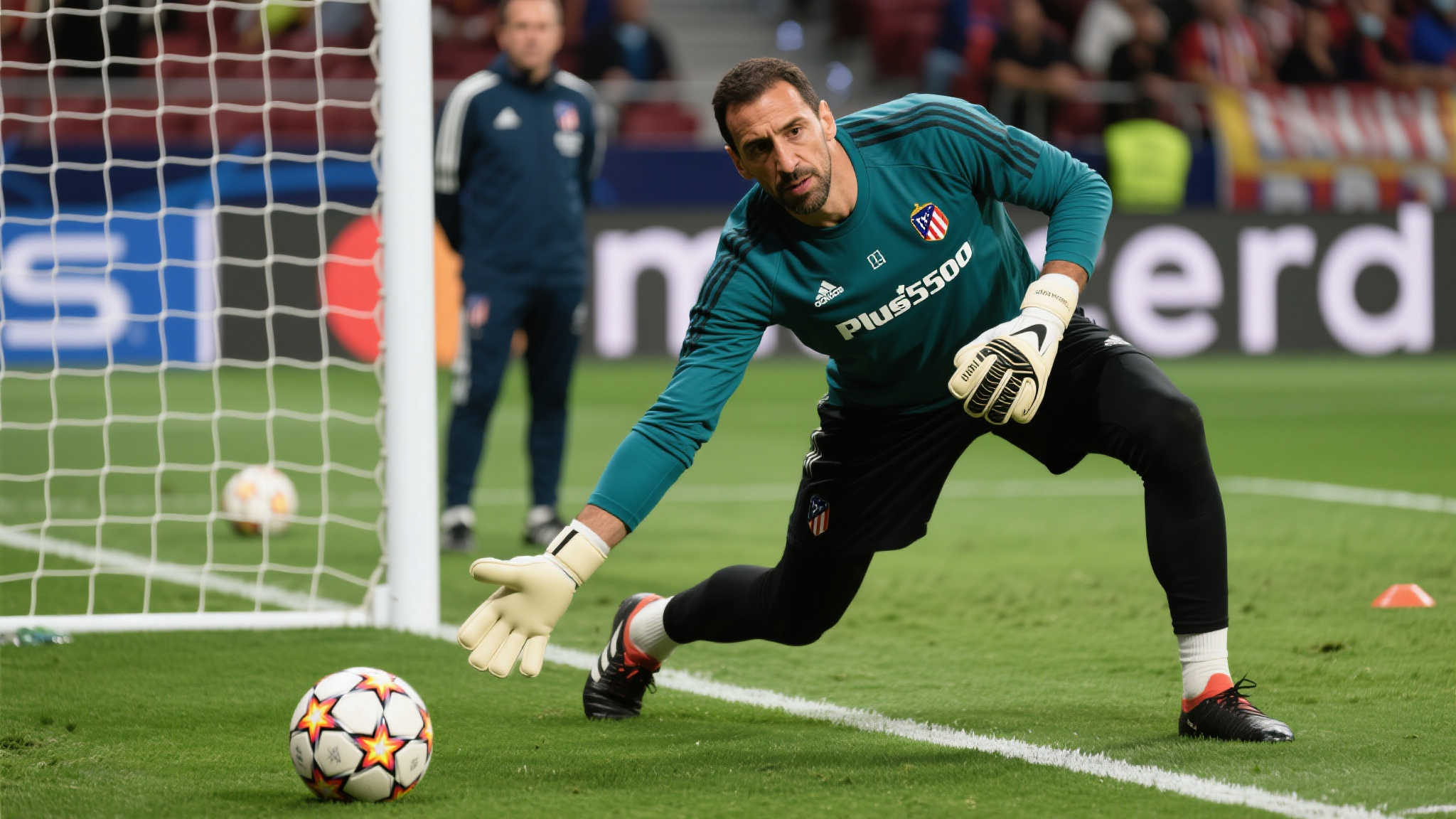 素质也得到 素质也得到